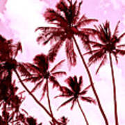 Beautiful Palms Of Maui 13 Poster
