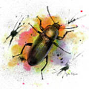 Beetle Illustration Poster