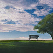 Bench For Meditation In Meadow With Lone Tree Poster
