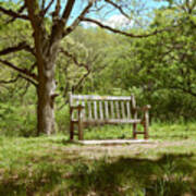 Bench In Nature Poster