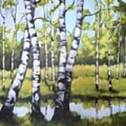 Birches In Spring Mood Poster