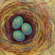 Bird Nest Poster