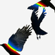 Bird Strips Poster