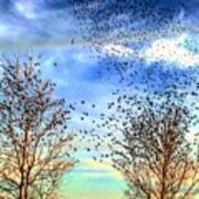 Bird Swarms Versus Hawks On The Prairie Poster