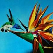 Birds Of Paradise With White Necked Jacobin Hummingbird Poster
