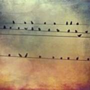 Birds On The Lines #stackablesapp Poster