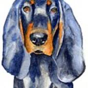 Black And Tan Coonhound Dog Poster