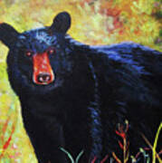 Black Bear Poster