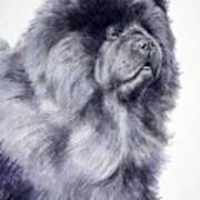 Black Chow Chow Poster