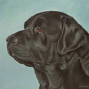 Black Labrador Dog Profile Painting Poster