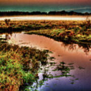 Black Tern Marsh October Sunrise Poster