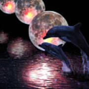Dolphins In The Moonlight Poster