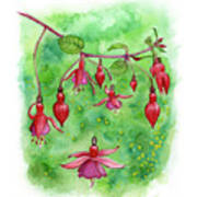 Blossom Fairies Poster