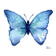 Blue Butterfly Watercolor Poster