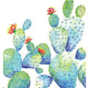 Blue Cactus Poster