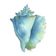 Blue Conch Shell Poster