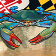 Blue Crab Of Maryland Poster