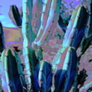 Blue Flame Cactus Moonglow Poster