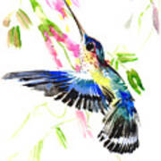 Blue Hummingbird Poster