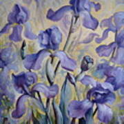 Blue Irises Poster