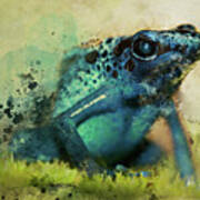 Blue Poisonous Frog Poster