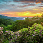 Blue Ridge Mountains Nc Mountain Laurel Sunset Poster