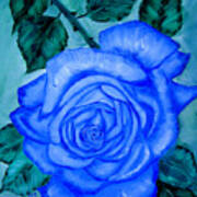 Blue Rose Poster