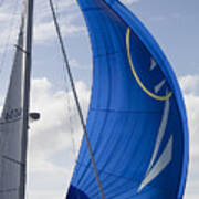 Blue Spinnaker Sy Alexandria Poster