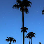 Blue Tropical Night Panorama Poster