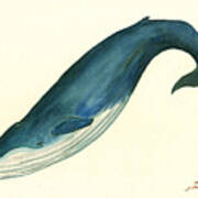 Blue Whale Painting Poster