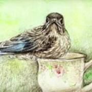 Bluebird With Teacup Poster