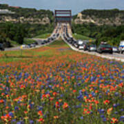 Bluebonnets And Indian Paintbrush Wildflowers Frame The 360 Brid Poster