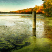 Blydenberg Park In The Fall Poster