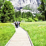 Boardwalk On Yosemite Meadow Poster