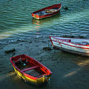 Boats On San Pedro River Puerto Real Spain Poster