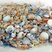 Boca Grande Seashells Poster