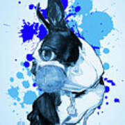 Boston Terrier - Blue Paint Splatter Poster
