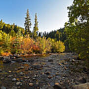 Boulder Colorado Canyon Creek Fall Foliage Poster