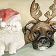 Boxer And Persian Cat Christmas Poster