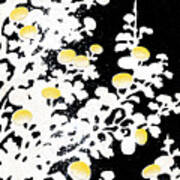Branches Of White Yellow Leaves And Flowers At Night, Black Background Poster