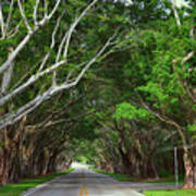 Bridge Road Hobe Sound Florida Poster