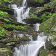 Briggs Brook Waterfall New England National Scenic Trail Poster