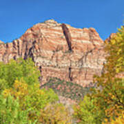Bright Colors At Zion Poster