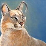 Bright Eyes - Caracal Poster