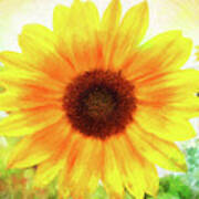 Bright Yellow Sunflower - Painted Summer Sunshine Poster