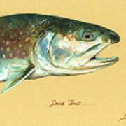 Brook trout watercolor Poster