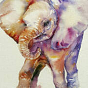 Bubbles Baby Elephant Poster