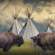 Buffalo Herd On The Reservation Poster