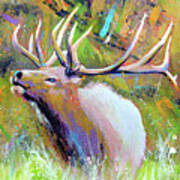 Bugling Elk Poster