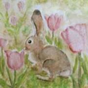 Bunny In The Tulips Poster